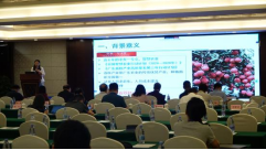 zoty中欧体育NBA频道