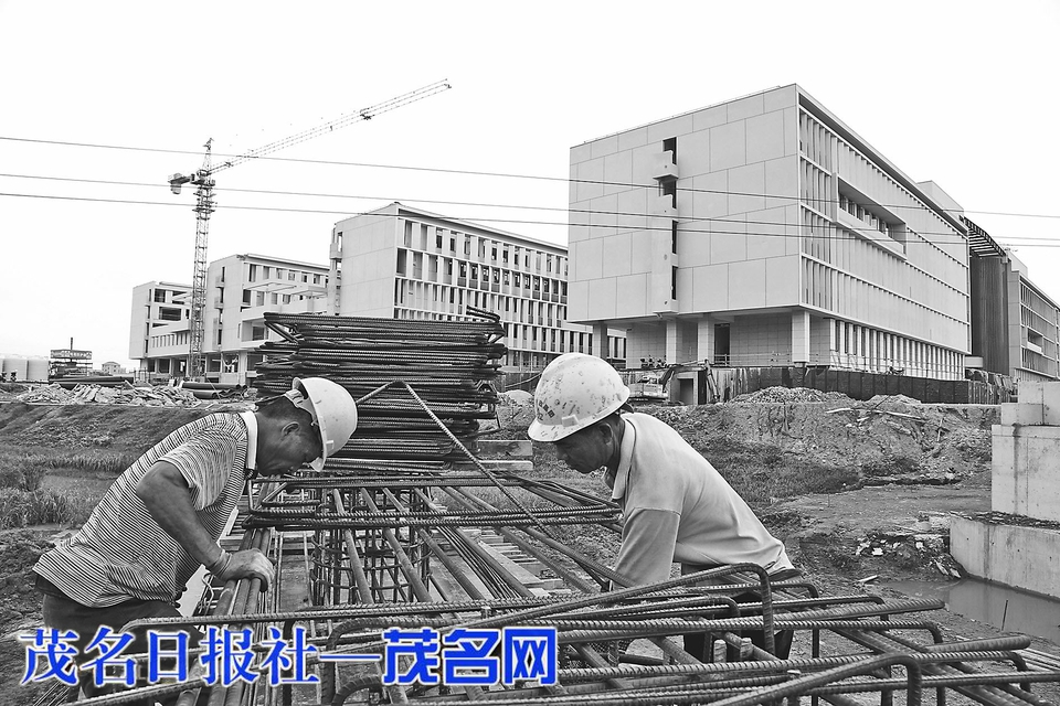 zoty中欧体育稳定线路图片