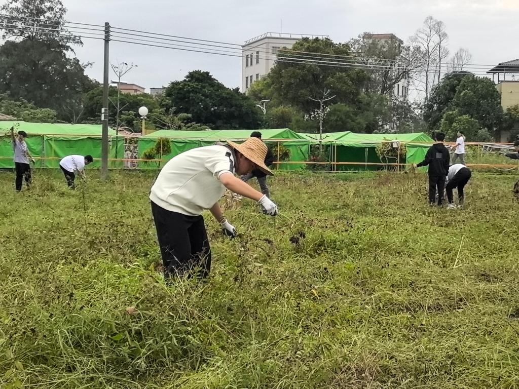 zoty中欧体育指定通道
