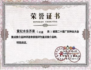 zoty中欧体育NBA频道