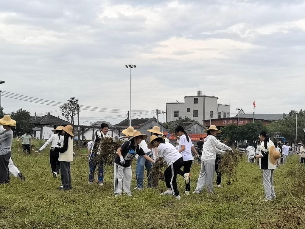 zoty中欧体育直播
