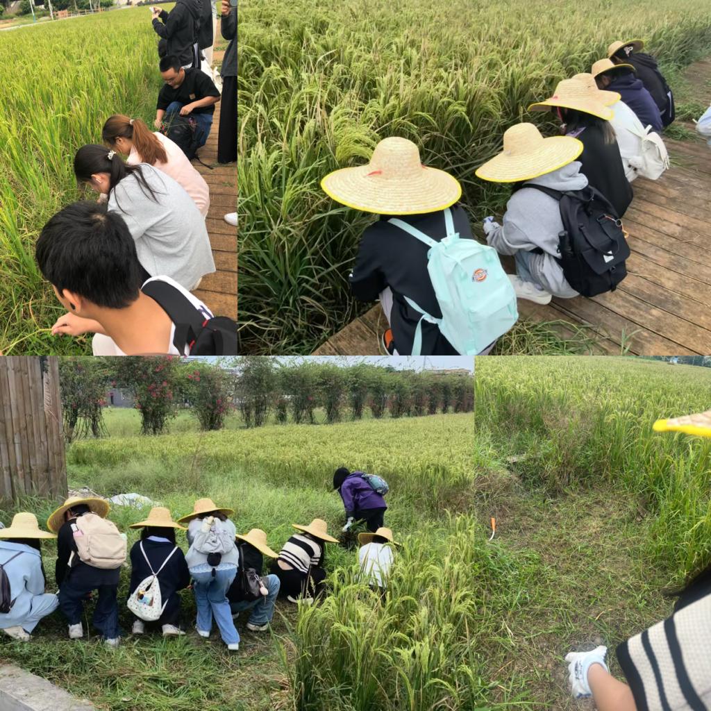 zoty中欧体育超级联赛