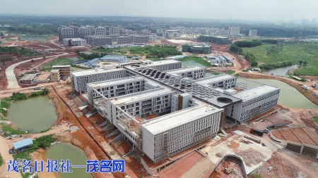 zoty中欧体育欧洲杯图片