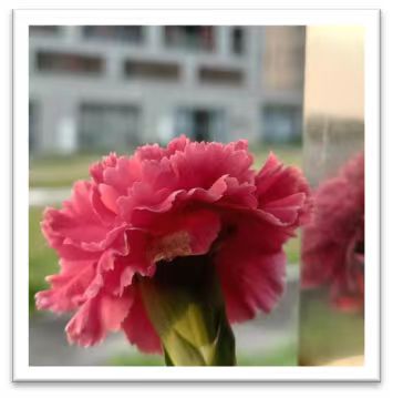 zoty中欧体育互联系统