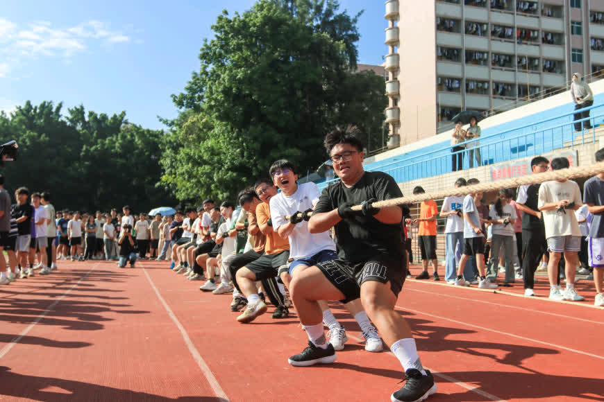zoty中欧体育互联系统
