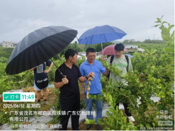 zoty中欧体育备用网址