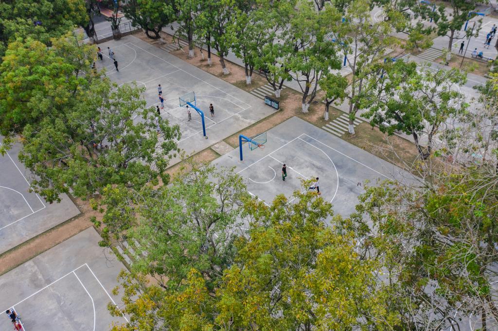 zoty中欧体育稳定线路
