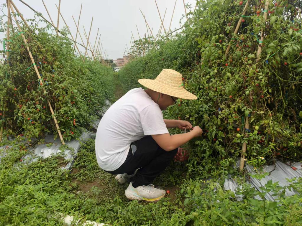 zoty中欧体育稳定线路