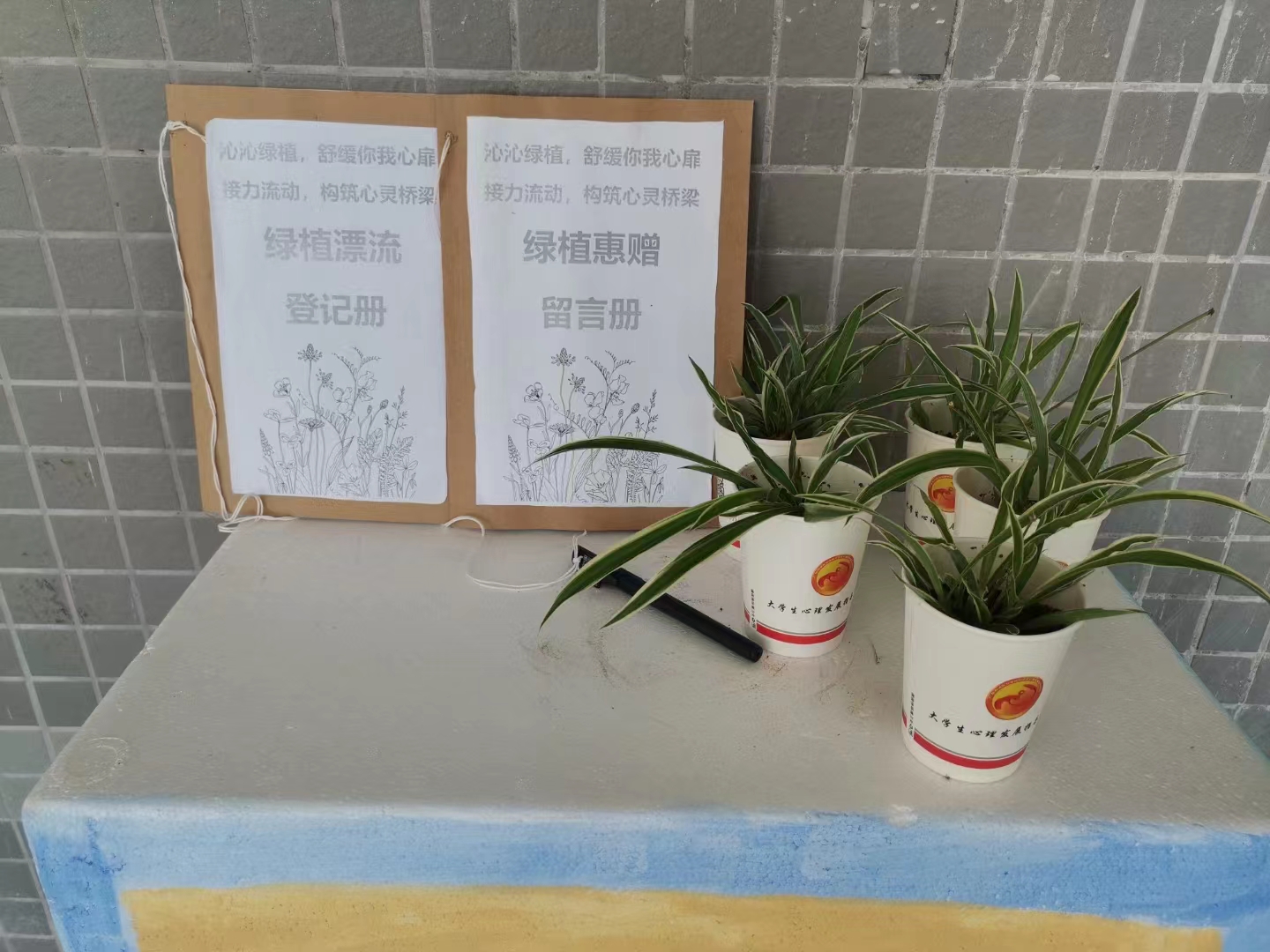zoty中欧体育平台