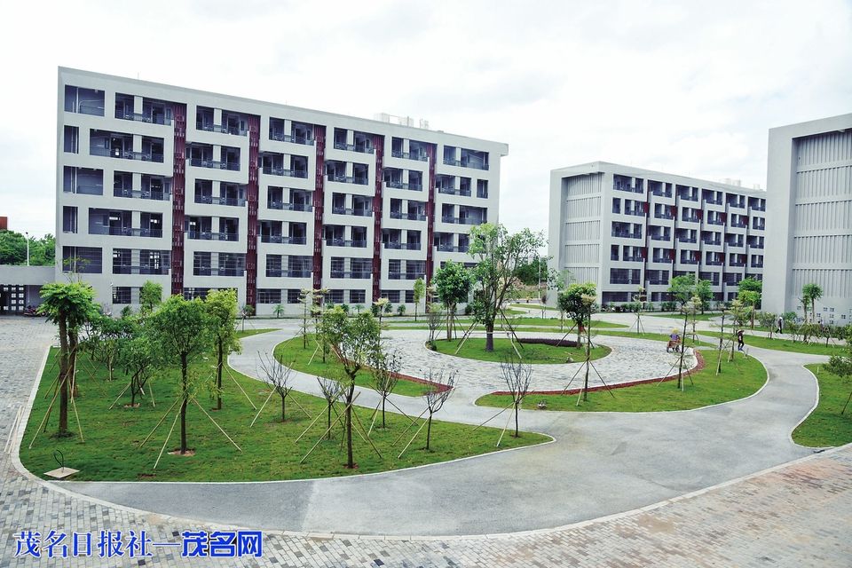 zoty中欧体育加速节点图片