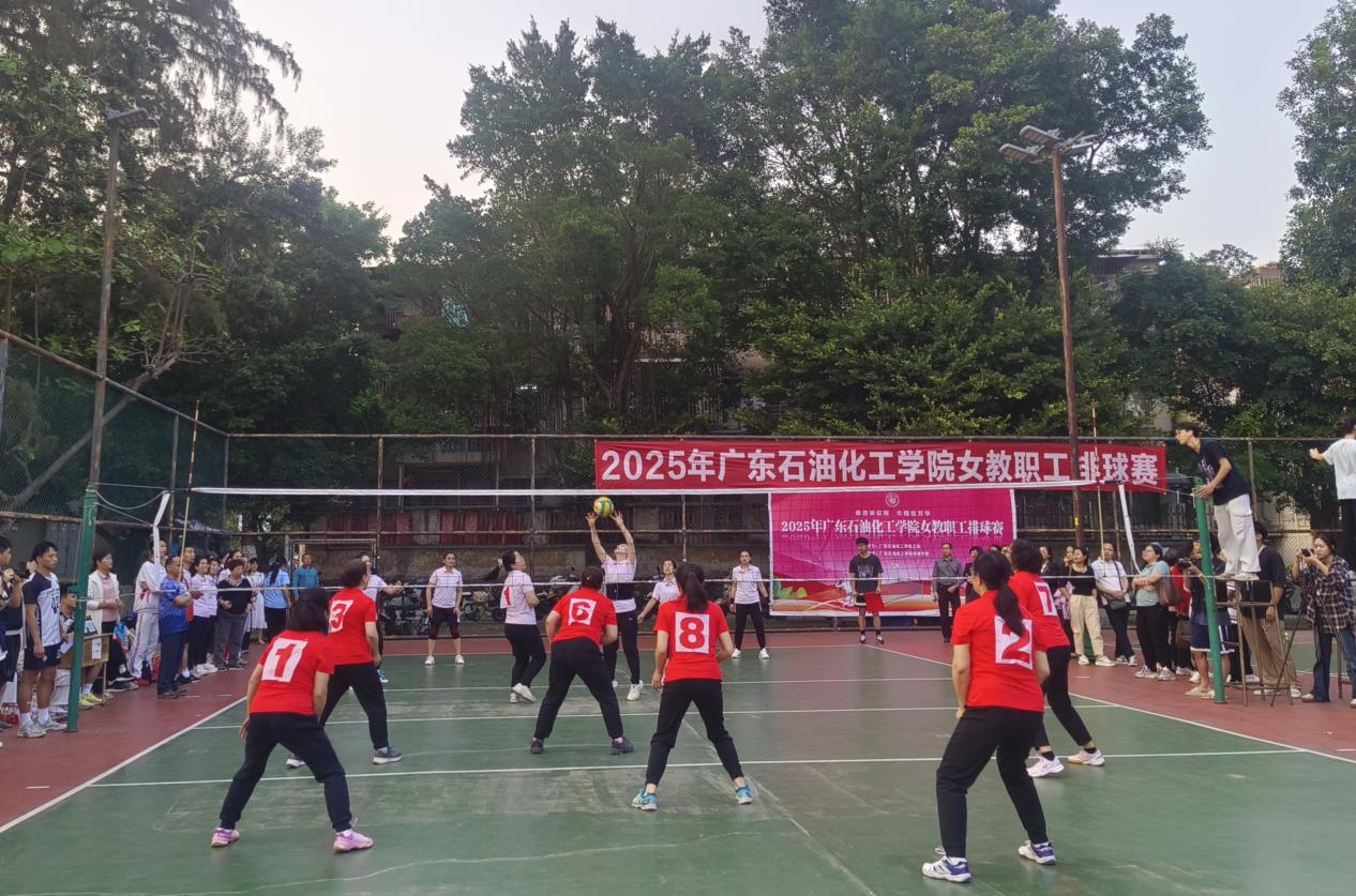 zoty中欧体育欧冠直播