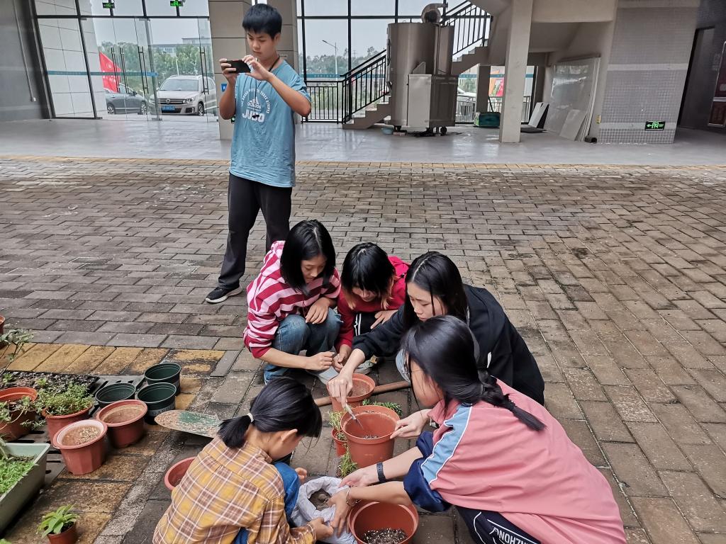 zoty中欧体育备用网址