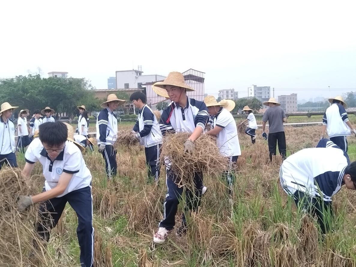 zoty中欧体育体育频道