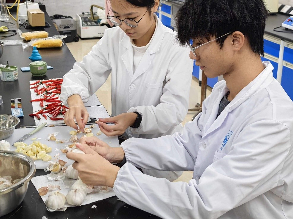 zoty中欧体育APP下载