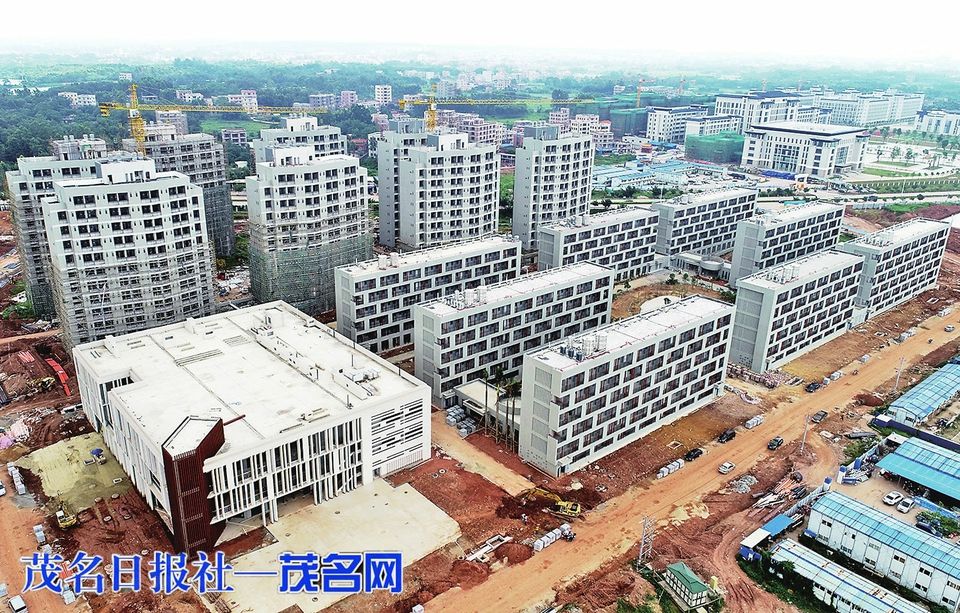 zoty中欧体育备用网址图片