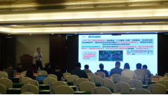 zoty中欧体育备用网址