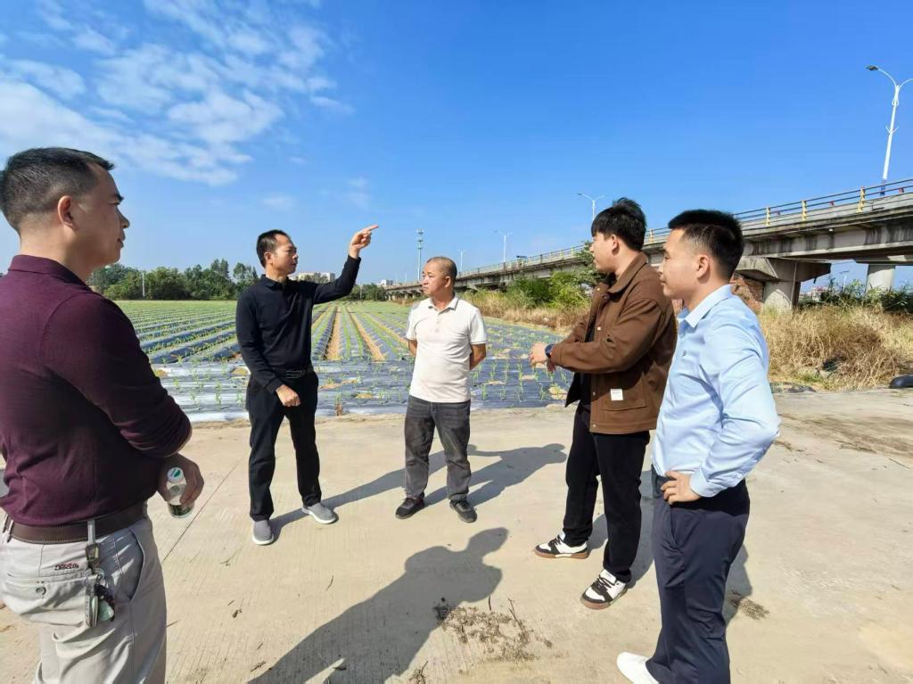 zoty中欧体育备用网址