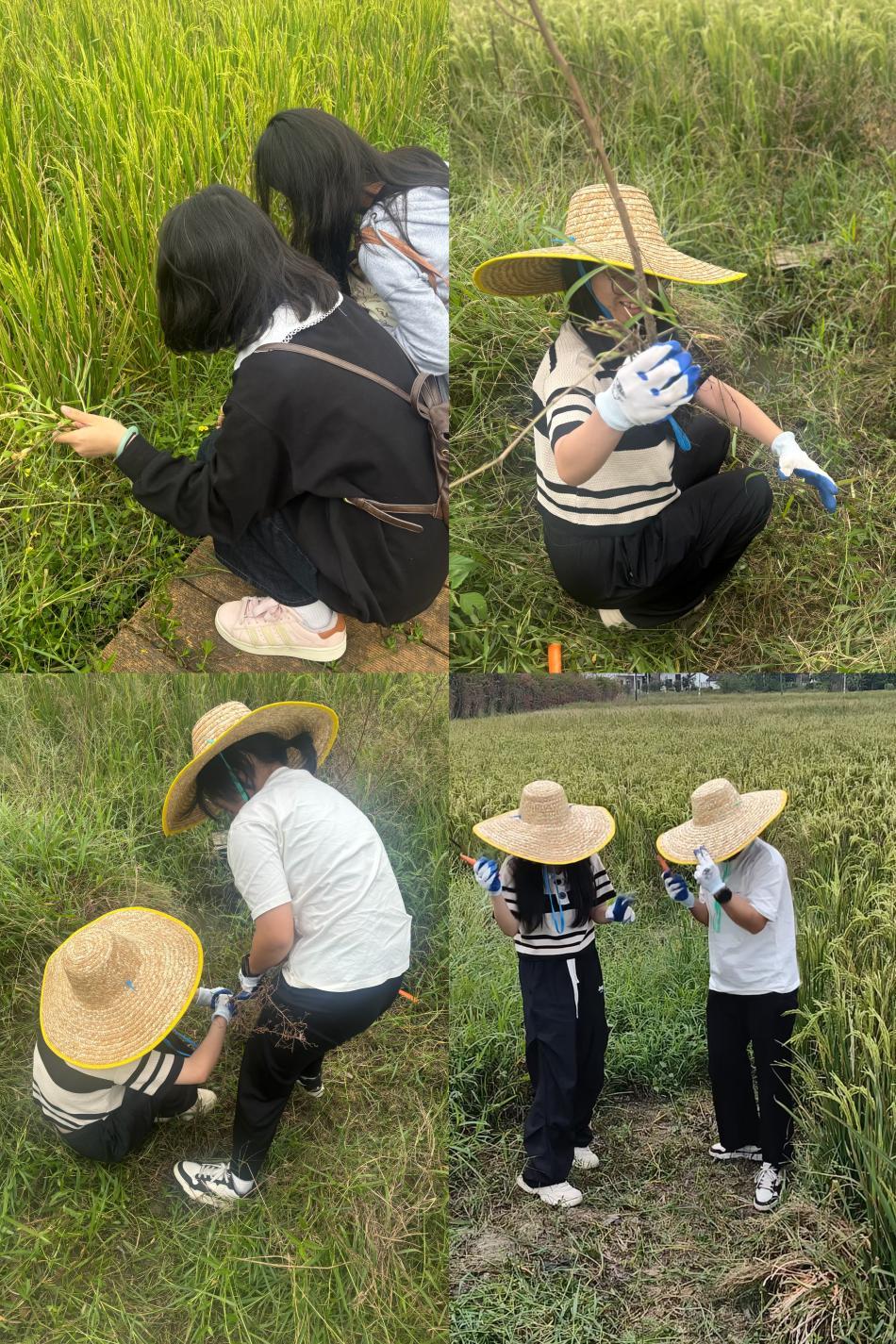 zoty中欧体育互联系统
