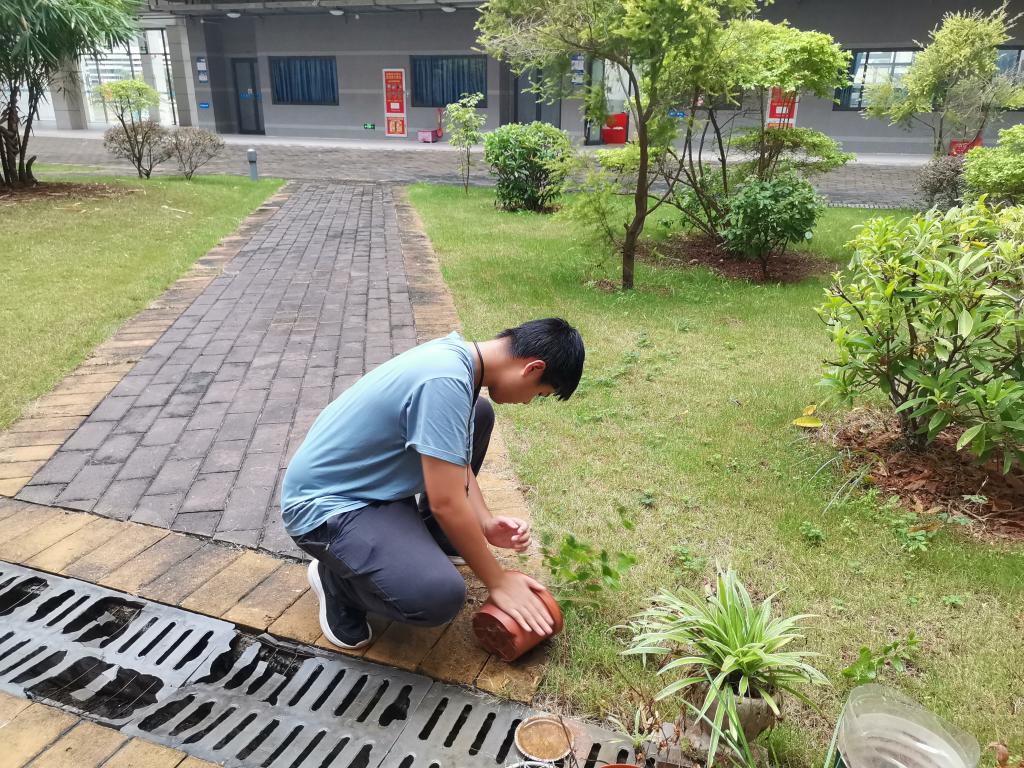 zoty中欧体育互联系统