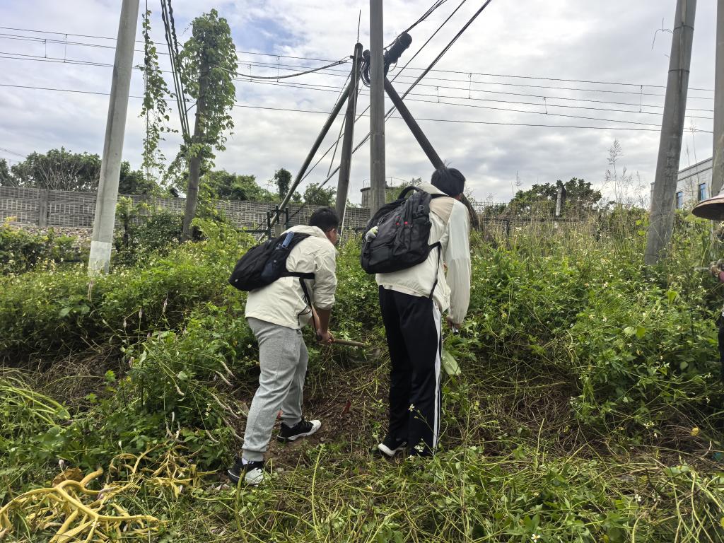 zoty中欧体育指定入口