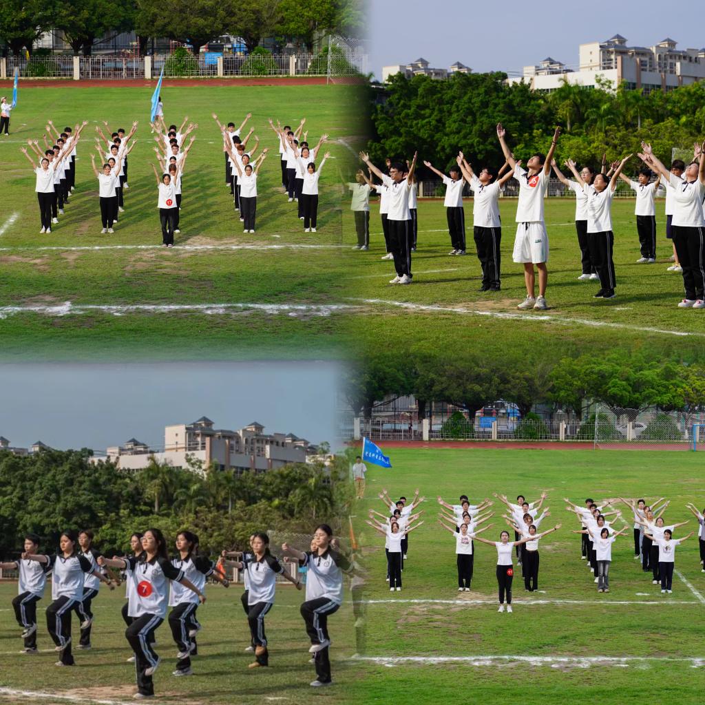 zoty中欧体育加速节点