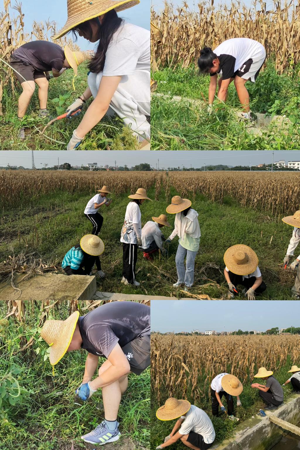 zoty中欧体育超级联赛