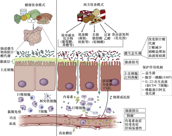 zoty中欧体育备用网址