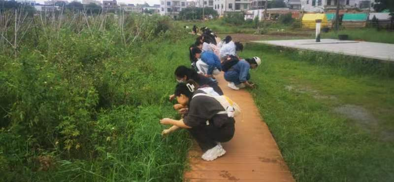 zoty中欧体育加速节点